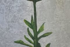 Mass Image Compressor Compressed this image. https://sourceforge.net/projects/icompress/ with Quality:80
